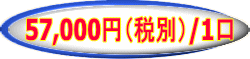 57,000円（税別）/1口