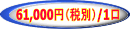 61,000円（税別）/1口