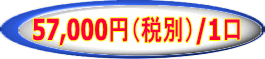 57,000円（税別）/1口