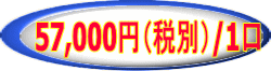 57,000円（税別）/1口