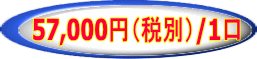 57,000円（税別）/1口
