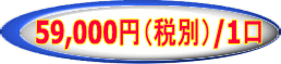 59,000円（税別）/1口