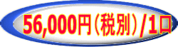 58,800円/1口