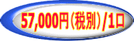 59,850円/1口